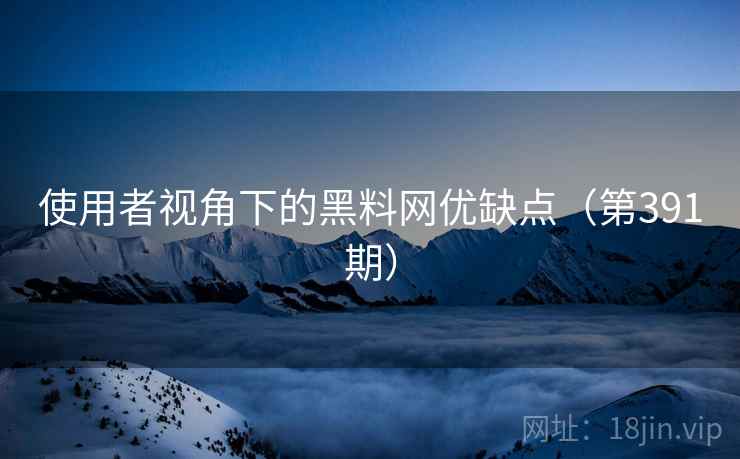 使用者视角下的黑料网优缺点（第391期）