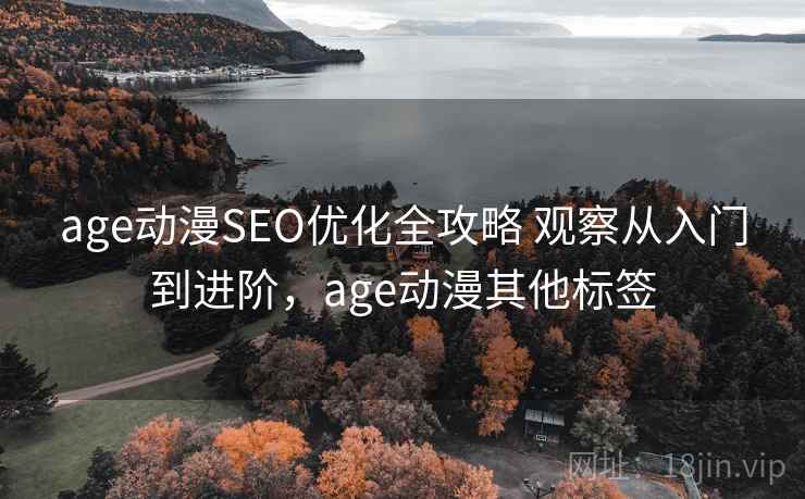 age动漫SEO优化全攻略 观察从入门到进阶，age动漫其他标签